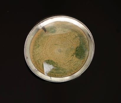 TABLE RING in silver min 800/°° round with...