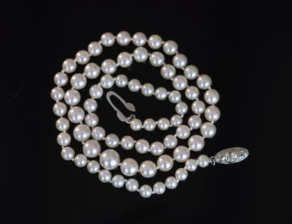 COLLAR with cultured pearls, D: 5 to 8mm,...