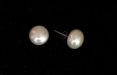 Pair of white freshwater button pearl earrings...