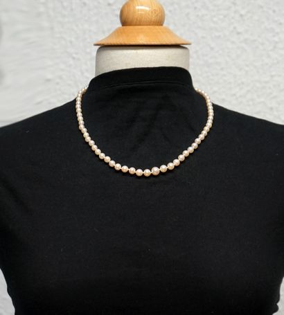 COLLAR with cultured pearls, D: 5 to 8mm,...