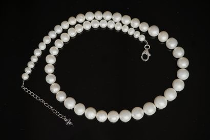 COLLAR with white freshwater pearls (5 to...