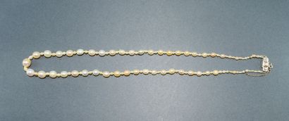 COLLIER composé de 105 perles dont 102 fines,...