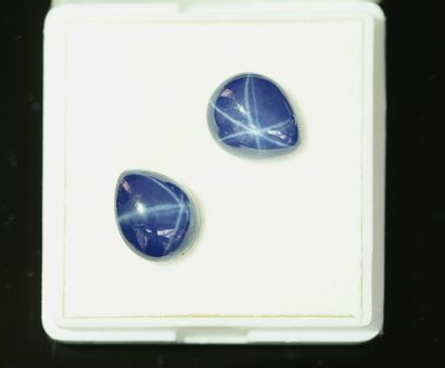 PAIR of blue stone drop cabochons with asteria...