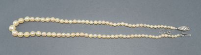 AKOYA PEARL COLLAR, sea water cultured pearls,...
