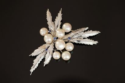 14K (585/°°) white gold shell-marked brooch...