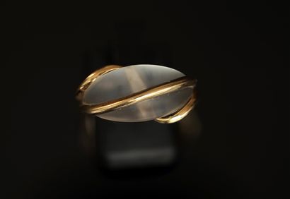 18k (750/°°) yellow gold ring with eagle...