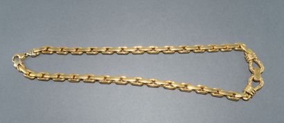 COLLAR in 18k (750/°°) yellow gold with eagle's...