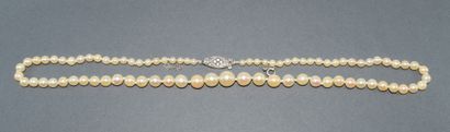AKOYA PEARL COLLAR, sea water cultured pearls,...