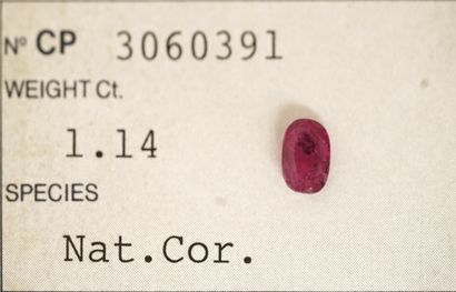 RUBIS naturel sur papier taille ovale pour...