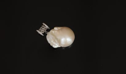 925/°° silver PENDANT, swan hallmark, holding...