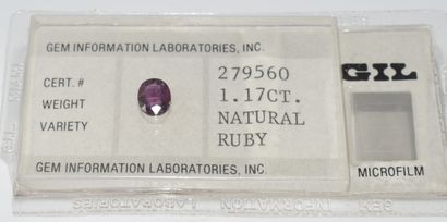 RUBY under seal with its GIL certificate...