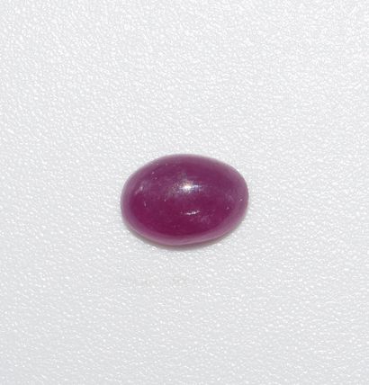 RUBY under seal with its GIL certificate...