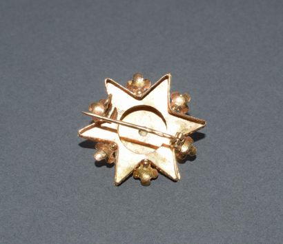 BROCHE en or jaune 18K (750/°°) poinçon cheval,...