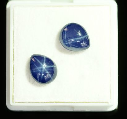 PAIR of blue stone drop cabochons with asteria...