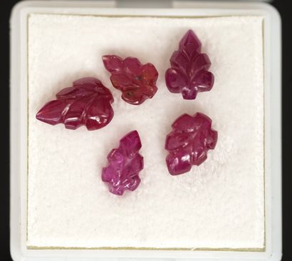 SET of 5 leaf-shaped engraved rubies for...
