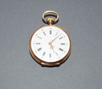 18K (750/°°) yellow gold collar WATCH with...