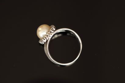 RING in 18K (750/°°) white gold and min....