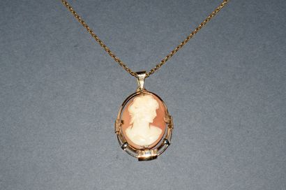 18K (750/°°) yellow gold eaglehead CAMEE...