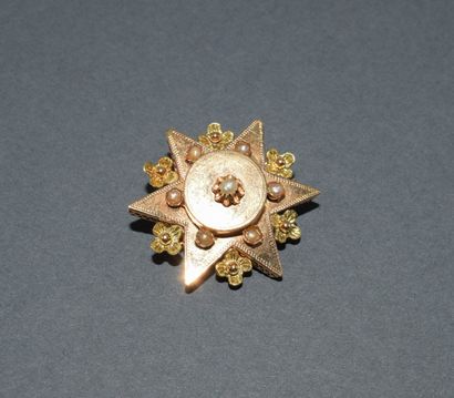 BROCHE en or jaune 18K (750/°°) poinçon cheval,...
