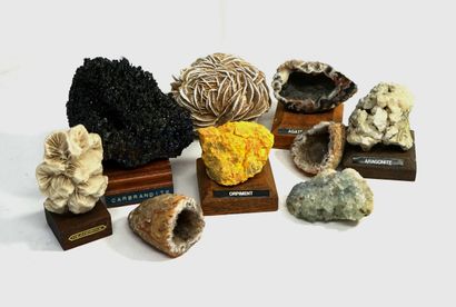 ENSEMBLE de MINERAUX certains sur socle en...