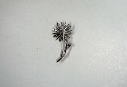 800/°° silver brooch, hallmarked charançon,...