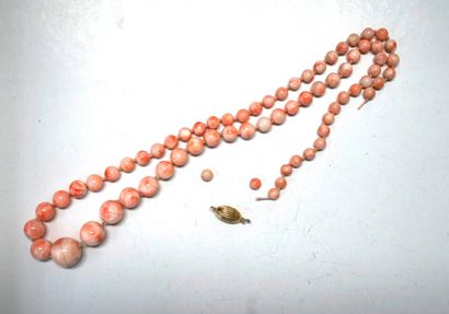 ENSEMBLE comprenant 1 rang de perles de coquillage...