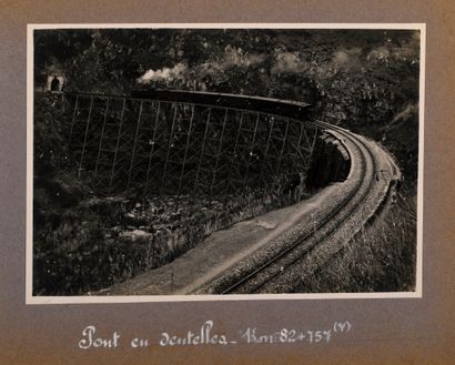 Historical souvenir
Photo album containing...