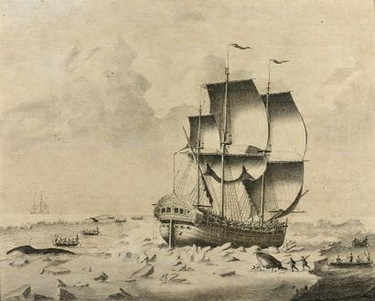 Adriaen Cornelisz VAN SALM (1657-1720)
Whale...