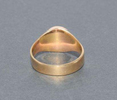 BAGUE CHEVALIERE en or jaune 18k (750/°°)...