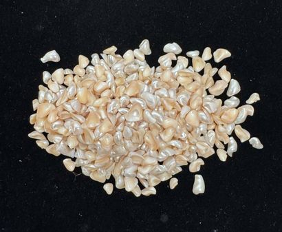 LOT de perles du Mississippi, nacres pour...