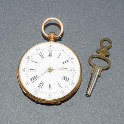 MOUTRE A GOUSSET en or jaune 18k (750/°°)...