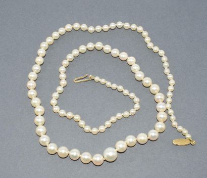 COLLIER de perles de cultures eau de mer...