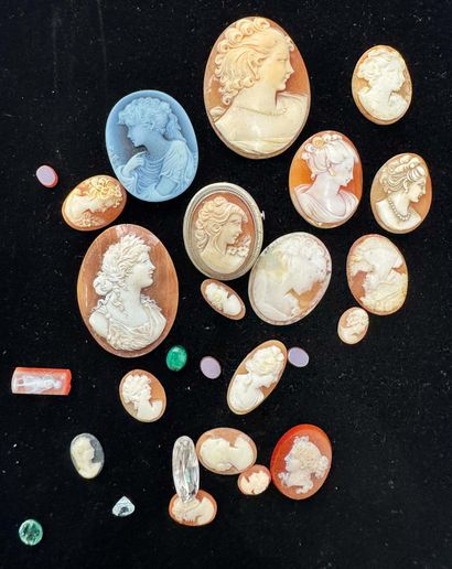 ENSEMBLE de camées coquille non montés (sauf...