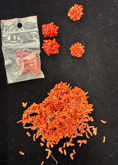 ENSEMBLE de perles bâtonnets de corail avec...