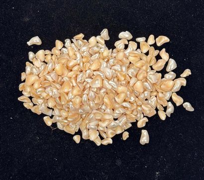 LOT de perles du Mississippi, nacres pour...