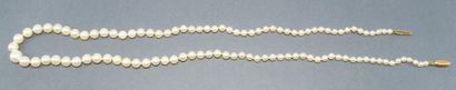 COLLIER de perles de cultures eau de mer...