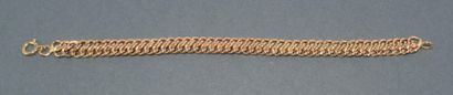 GOURMETTE en or jaune 18k (750/°°), maille...