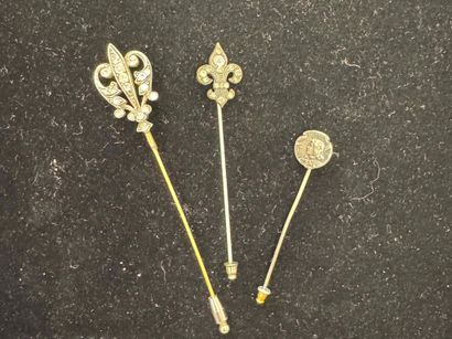 TROIS EPINGLES : une fleur de lys en métal,...