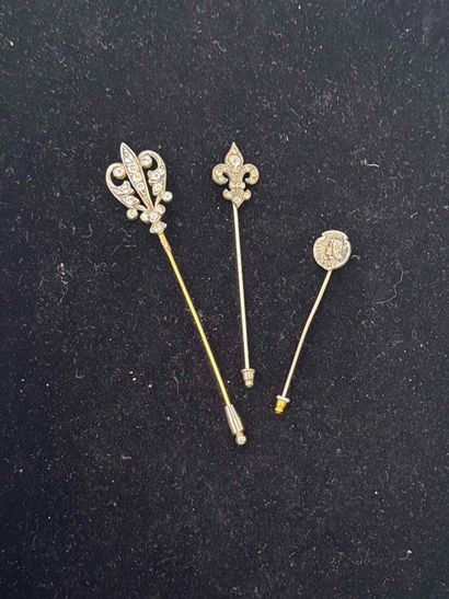 TROIS EPINGLES : une fleur de lys en métal,...