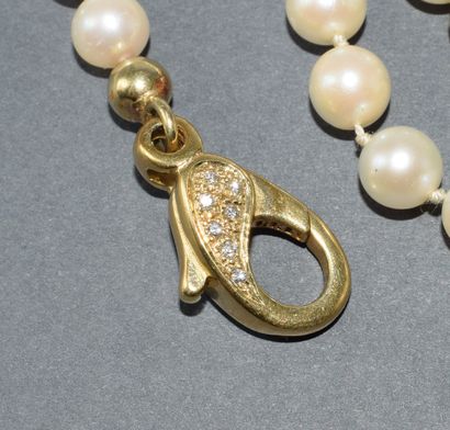 LONG SAUTOIR de perles de culture eau de...