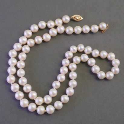 COLLIER DE PERLES de culture eau douce, choker,...