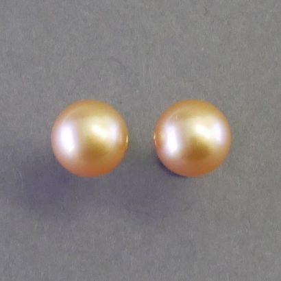PAIRE DE CLOUS D'OREILLE composés chacun...