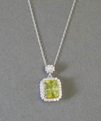 Silver CHAIN and PENDANT (min. 800/°°) adorned...