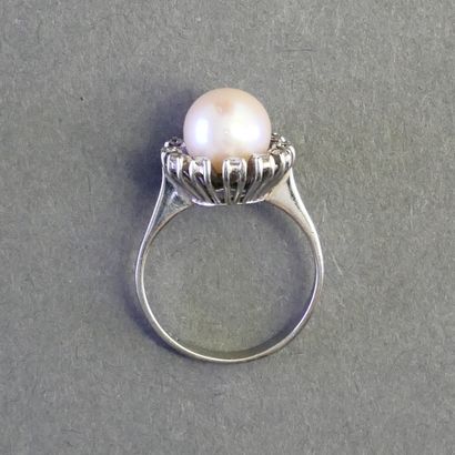 14k (585/°°) white gold ring set with an...