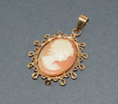18k (750/°°) yellow gold cameo pendant with...
