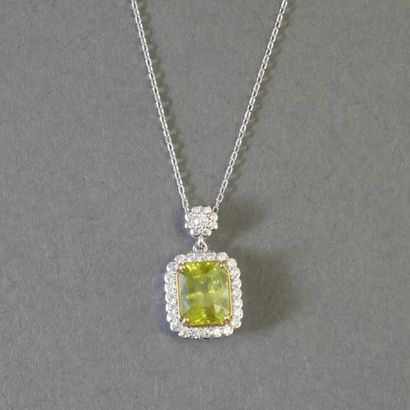 Silver CHAIN and PENDANT (min. 800/°°) adorned...