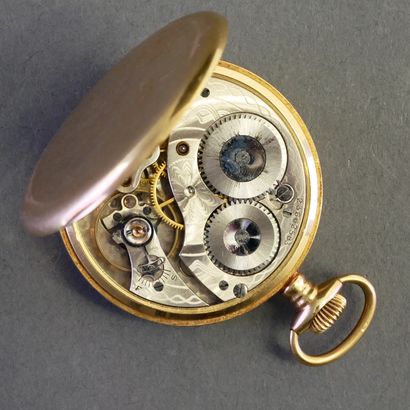 WALTHAM USA
POCKET WATCH in 18k (750/°°)...