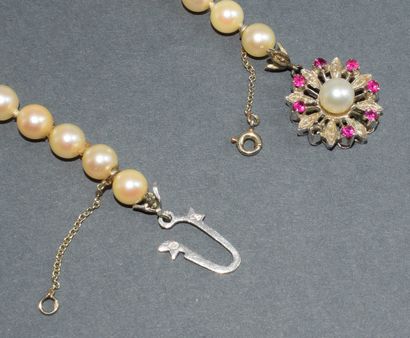 COLLAR of falling Akoya sea water cultured...
