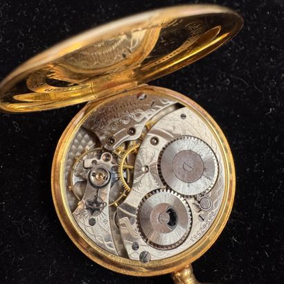 WALTHAM USA
POCKET WATCH in 18k (750/°°)...