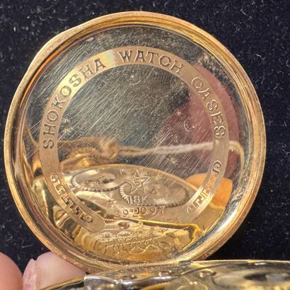 WALTHAM USA
POCKET WATCH in 18k (750/°°)...